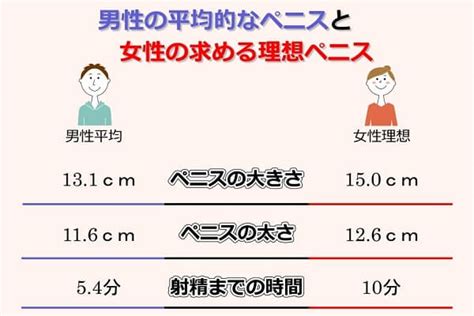 平均 チン長|ちんこの大きさ・サイズの平均値｜ペニス勃起時の太 